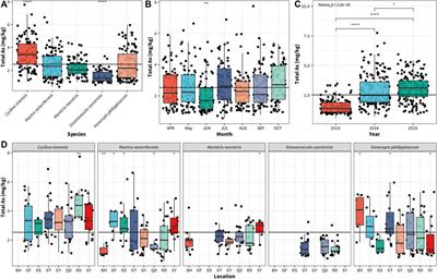 Multi-Year Survey and Bayesian Modeling Approach for Characterizing Arsenic Pollution in Marine Clams Cultivated Along the Tidal Flats of Mid-Eastern China